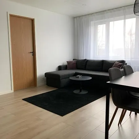 Apartment Riia Mnt 88